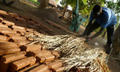 Daniel Morgan ('10), student invention of brick mixer to help African Village rebuild, Gulu, Uganda