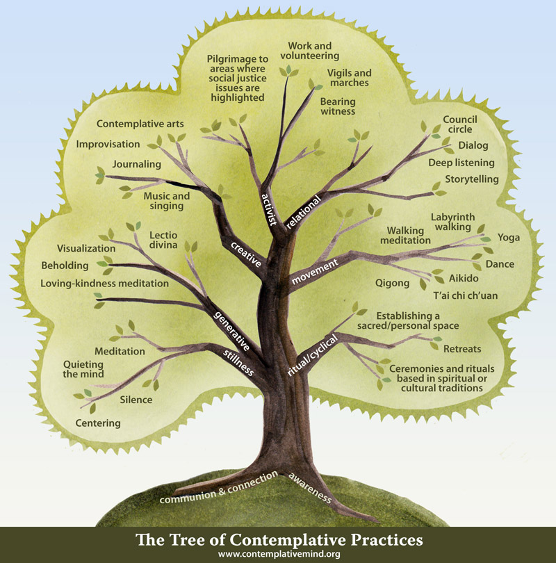 Tree of Contemplative Practices, which shows how specific practices are grouped and related
