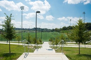 fields at UPark with trees in foreground