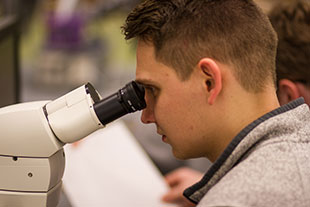 close up photo from the side of a student's head looking into a microscope