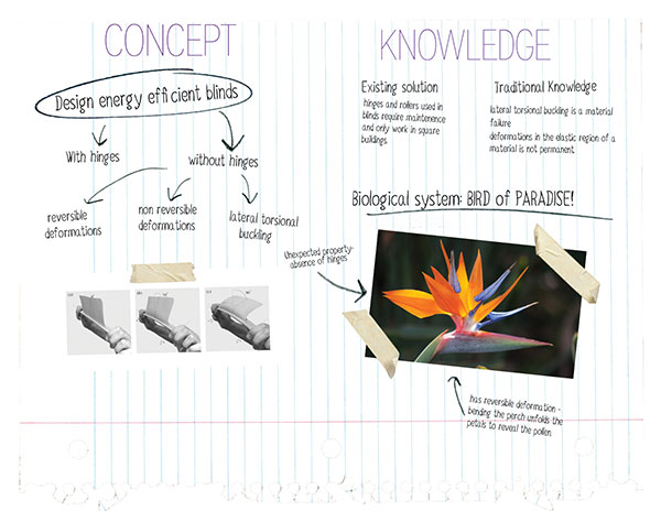 bio-inspired design graphic