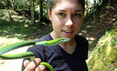 Student in Brunei study abroad course holding a small green snake up for the camera.