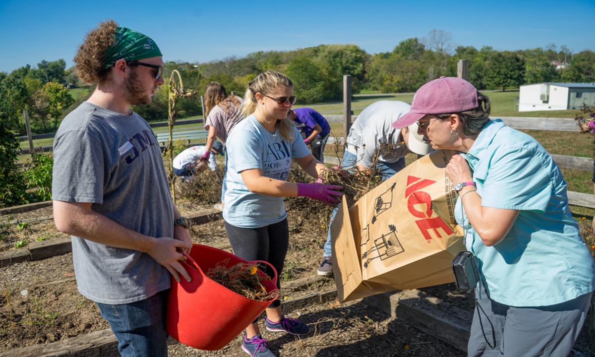 Students and their professor clearing out old plants from the elementary school garden.