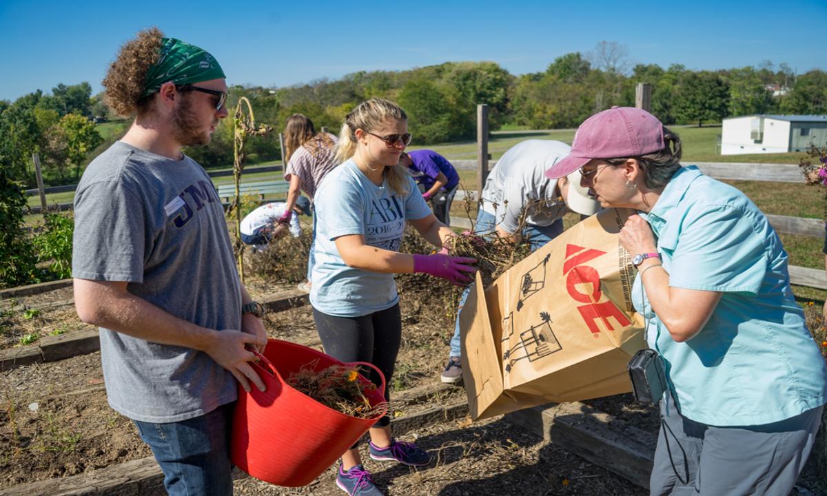 Students and their professor clearing out old plants from the elementary school garden. 