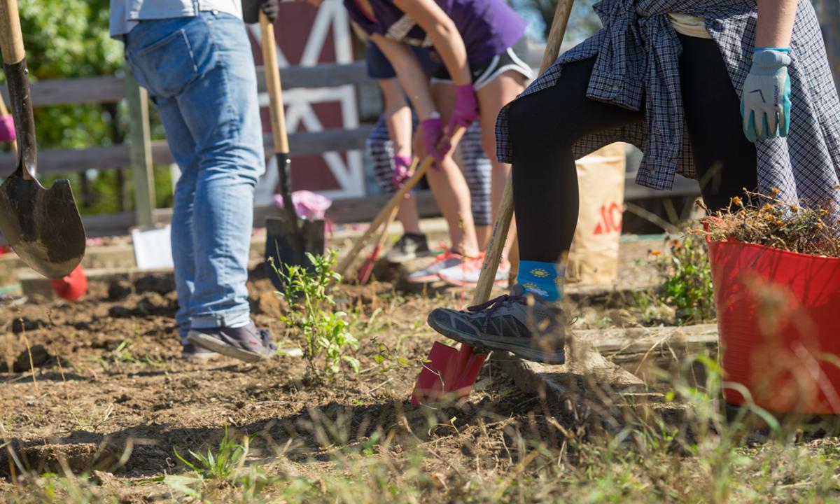 cropped image of feet digging shovels into the ground.