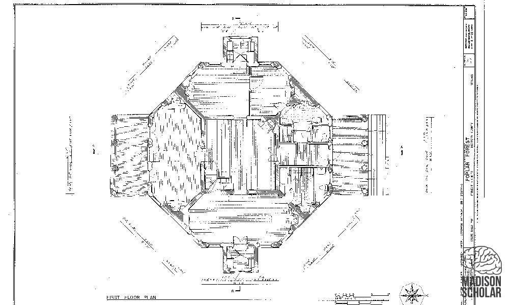 Blueprint of Popular forest