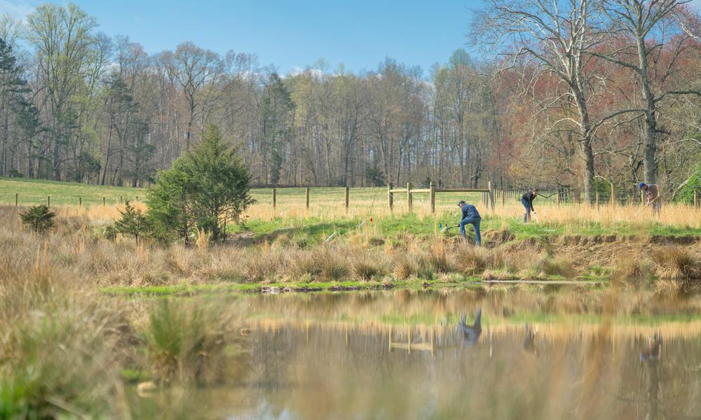 Pastoral view of Goodall farm in Madison County, Virginia