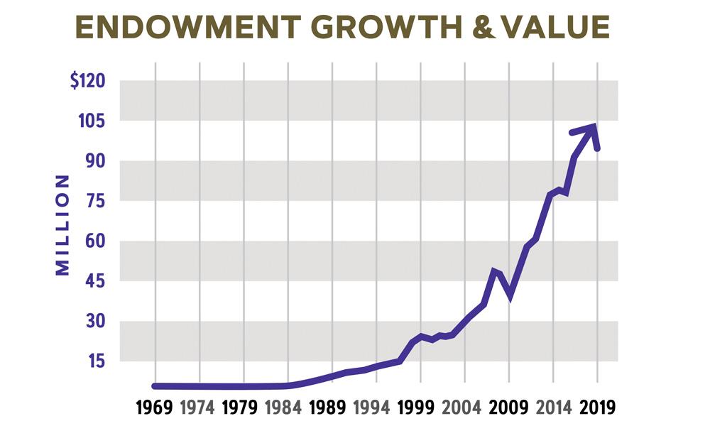 foundation endowment growth