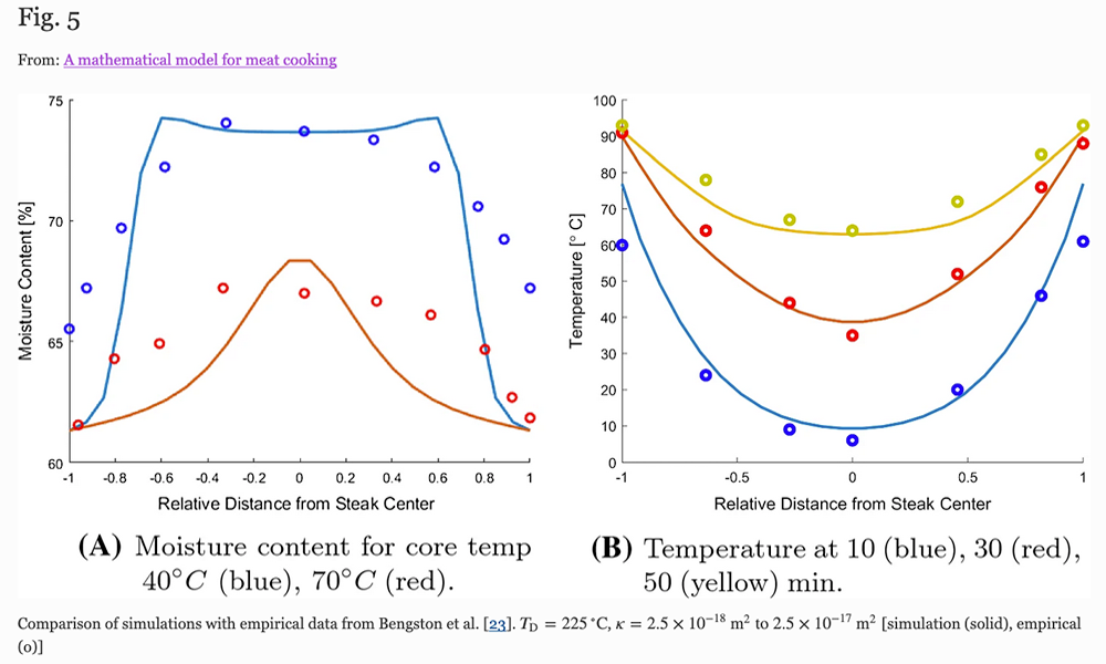 Meat The Perfect Temperature