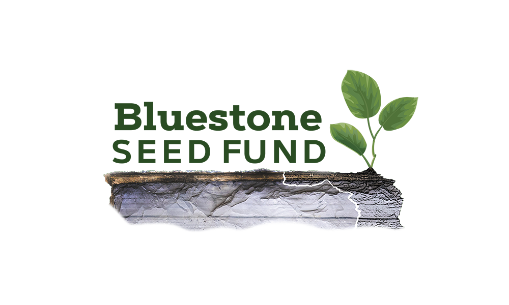 21-bluestone-seed-fund-lead