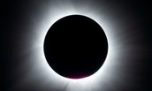 Eclipse Chasers Article Image