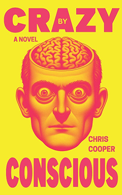 Crazy by Conscious book cover
