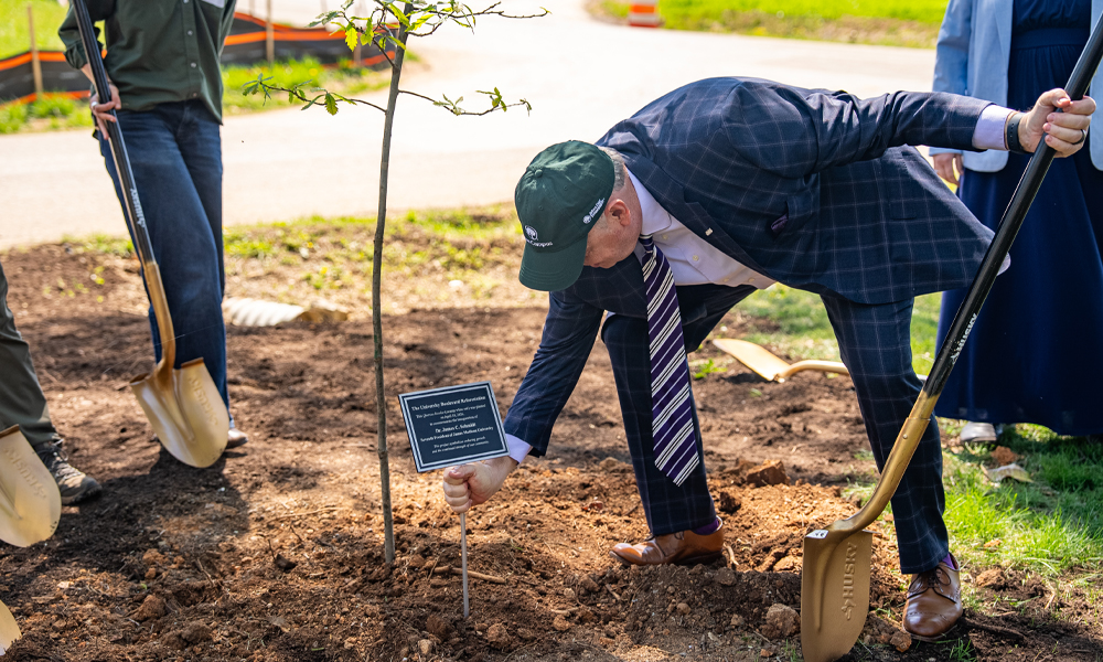 image-growing-madison-promise-4