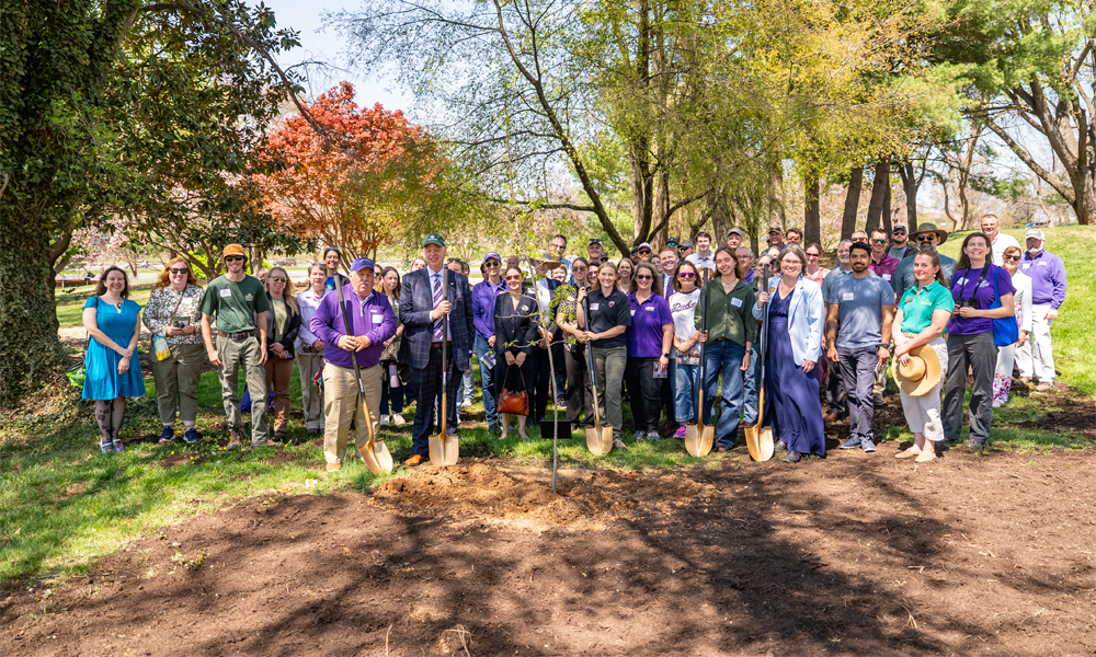 image-growing-madison-promise-3