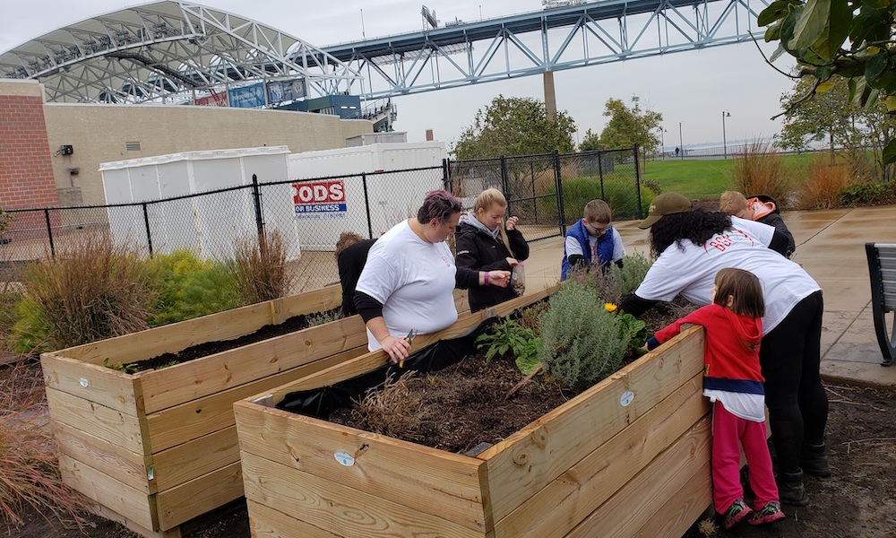 CJ Sapong urban garden