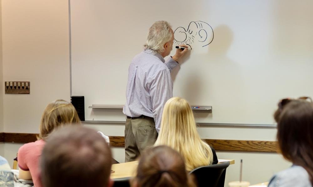 John Rose drawing Snuffy