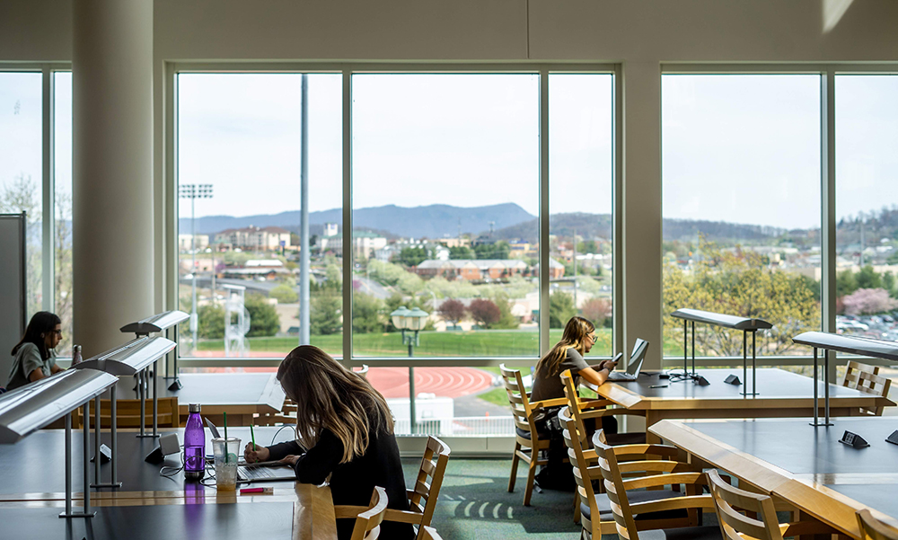 RoseLibrary-Students_Studying_Stock-1010-1000x600.jpg