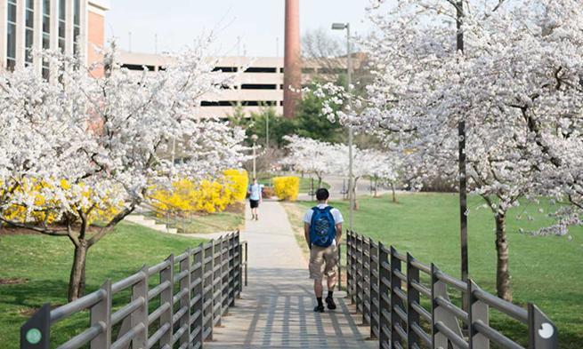 Spring on campus