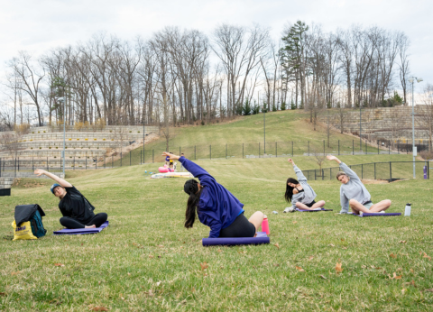 image for Pack the Park: Field Day