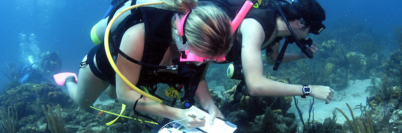 Marine Biologist