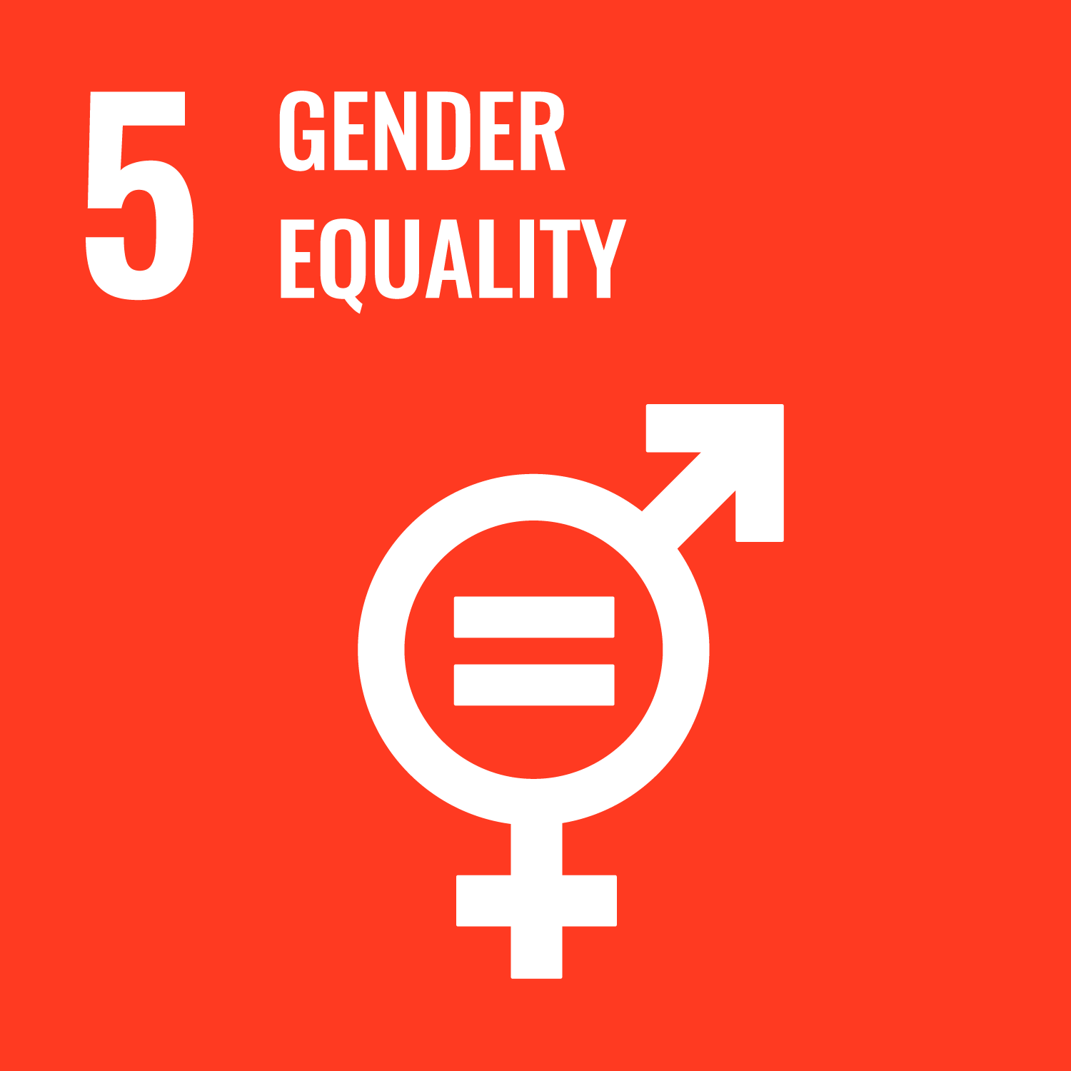 image for GOAL 5: WHY IT MATTERS