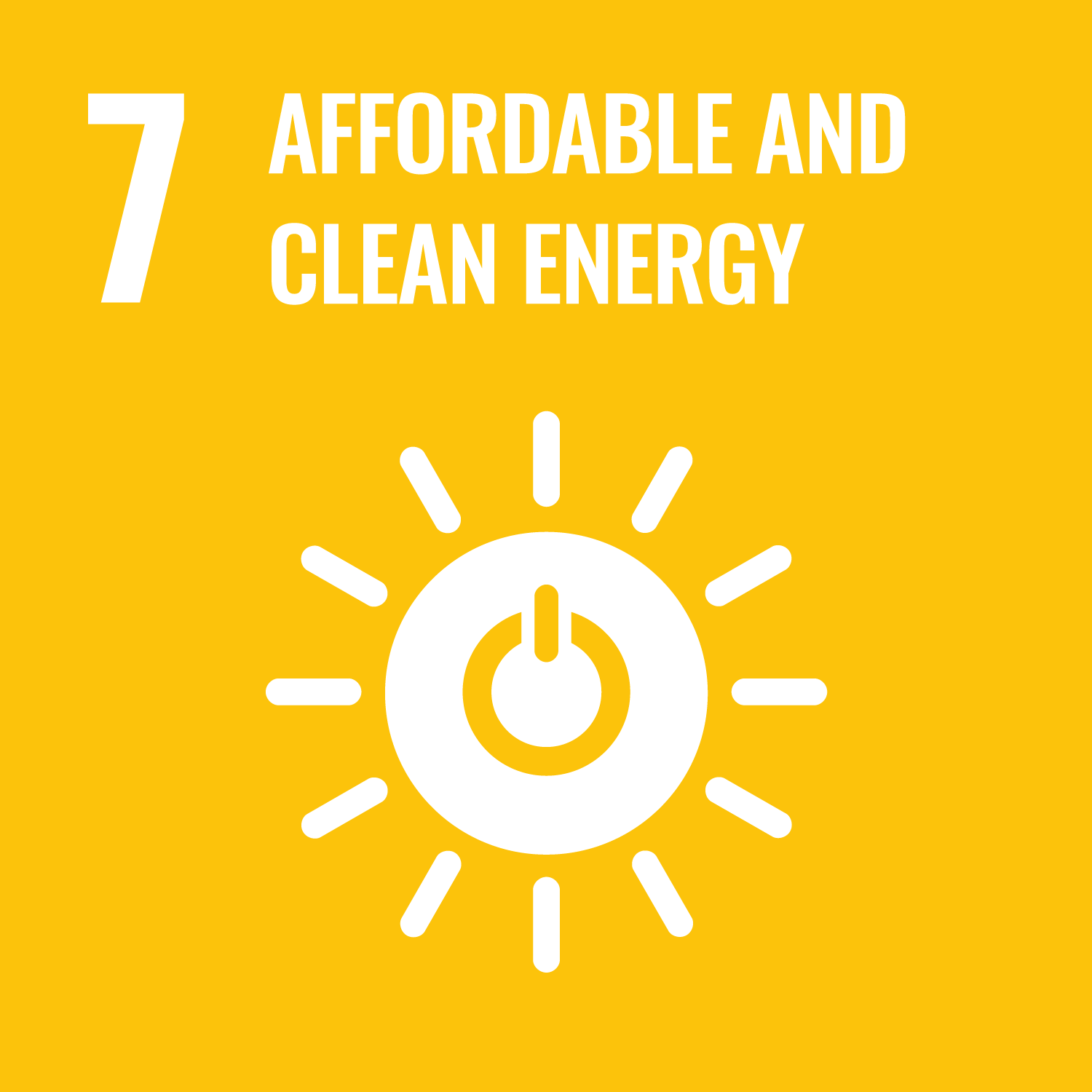 image for GOAL 7: WHY IT MATTERS
