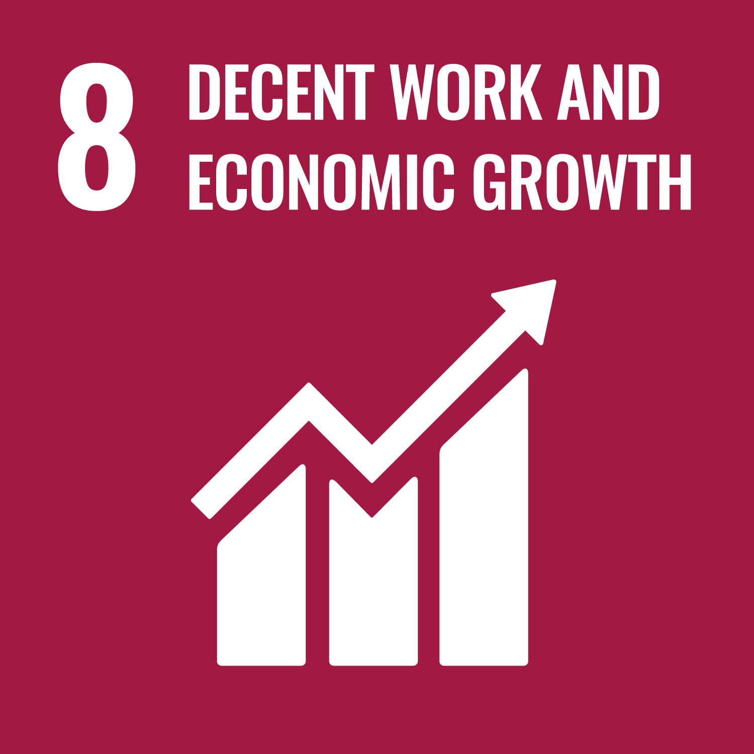 image for GOAL 8: WHY IT MATTERS