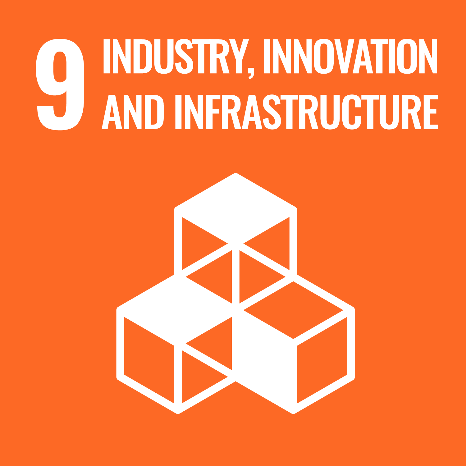 image for GOAL 9: WHY IT MATTERS