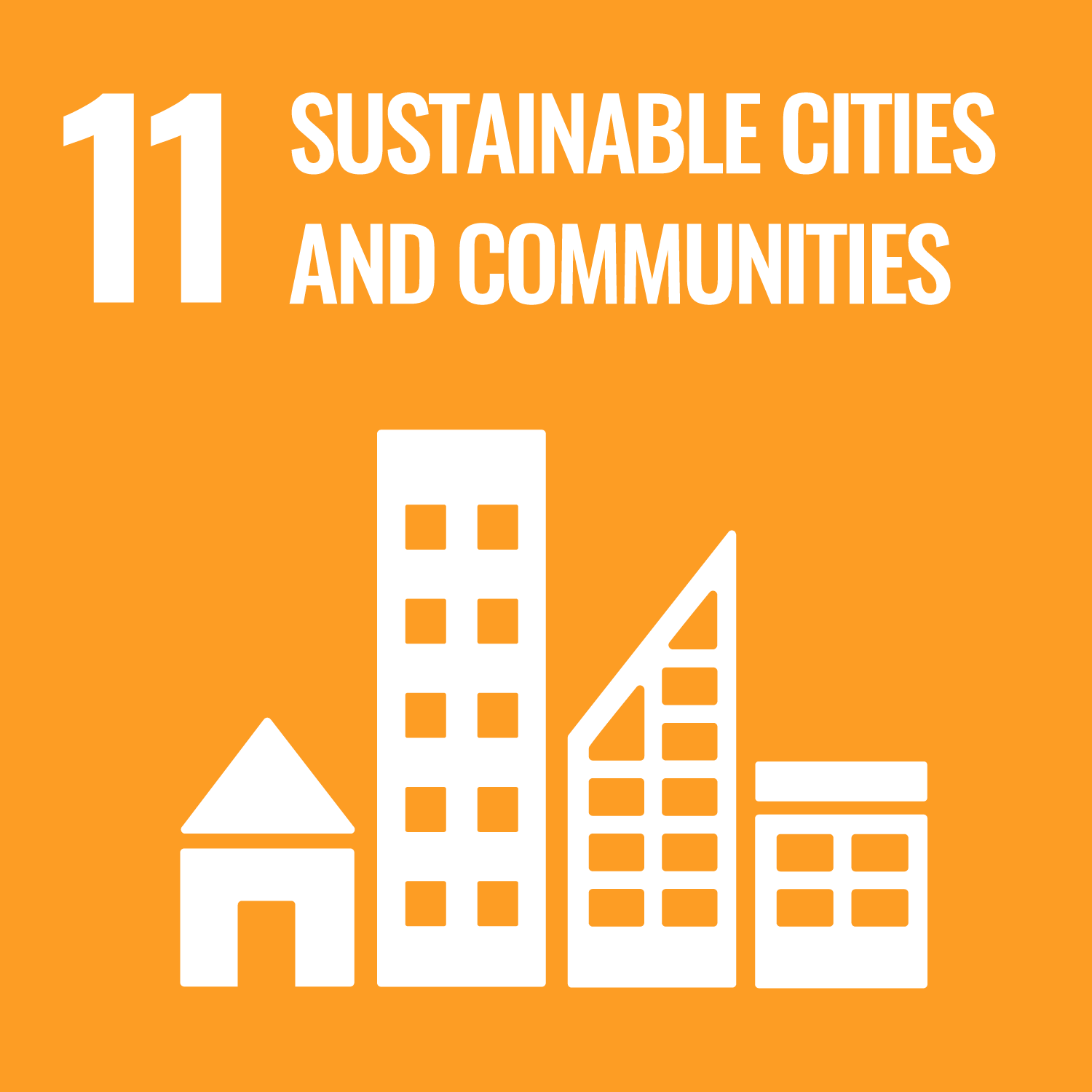 image for GOAL 11: WHY IT MATTERS