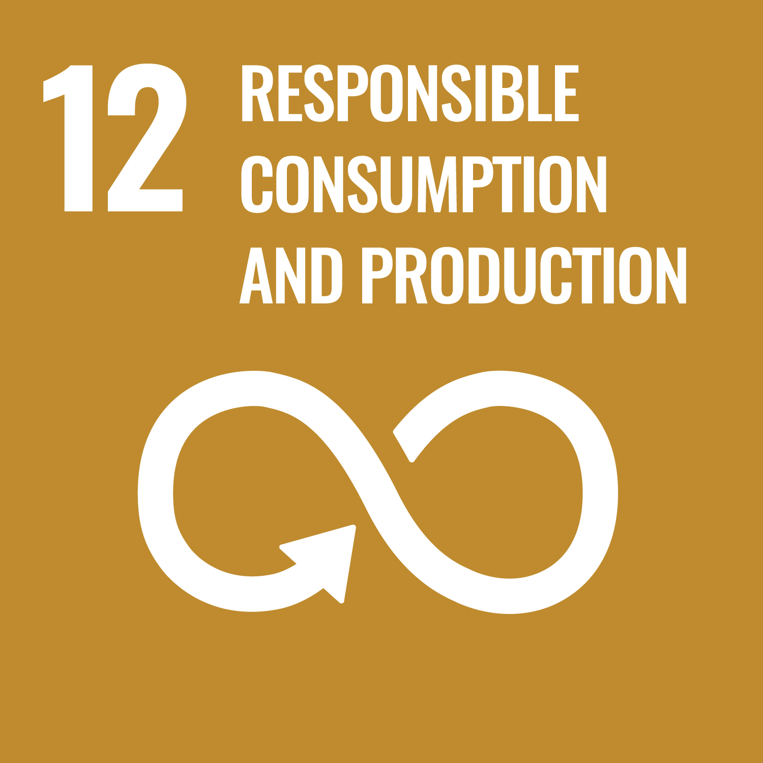 image for GOAL 12: WHY IT MATTERS