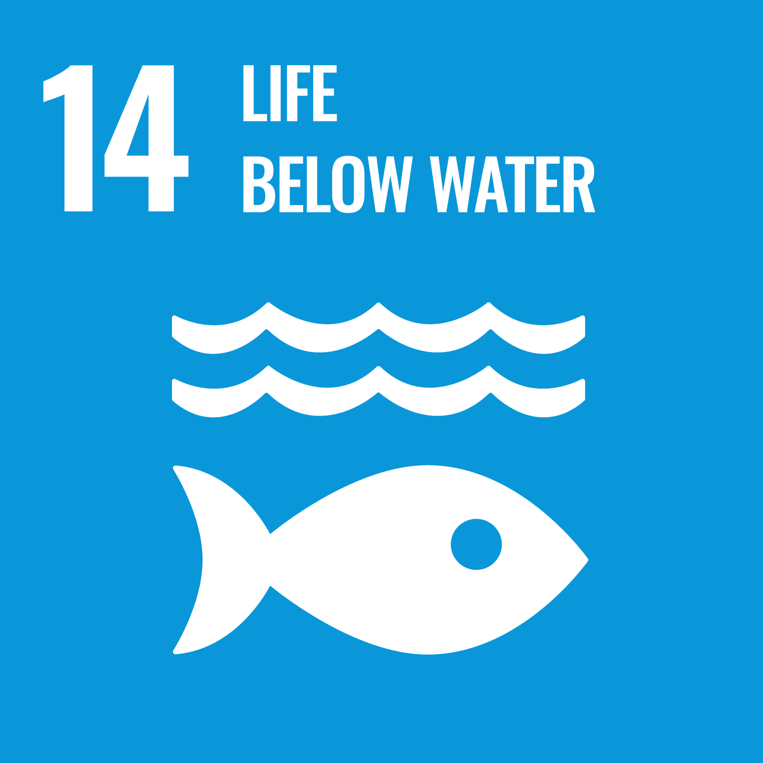 image for GOAL 14: WHY IT MATTERS