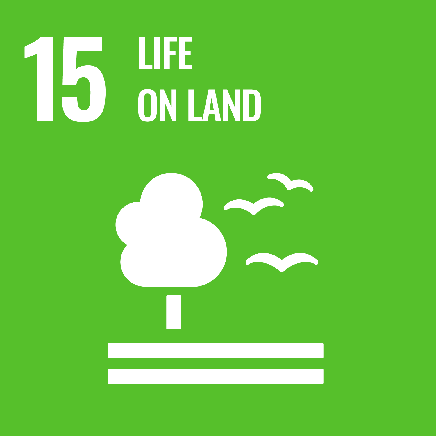image for GOAL 15: WHY IT MATTERS
