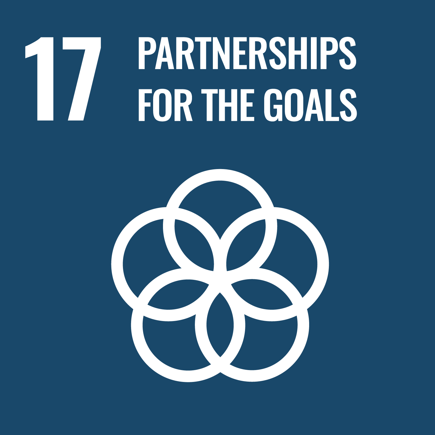 image for GOAL 17: WHY IT MATTERS