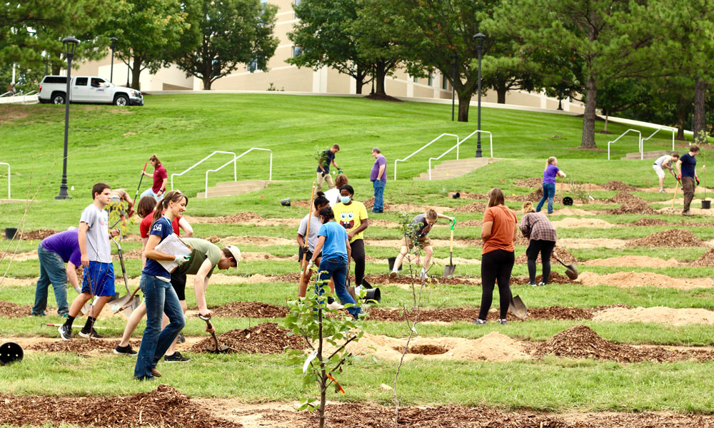 Volunteers planting trees