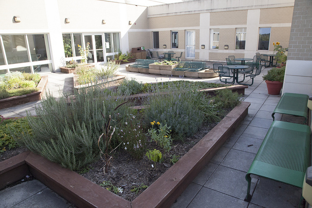 ISAT Patio Garden