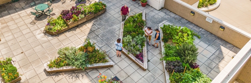 SIS Patio Garden