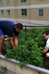 Garden Volunteers