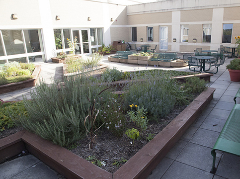 School of Integrated Sciences Patio Garden