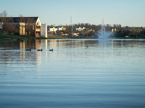 image for Newman Lake 