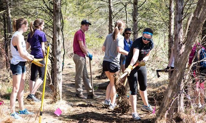 JMU students work during Big Event 2014