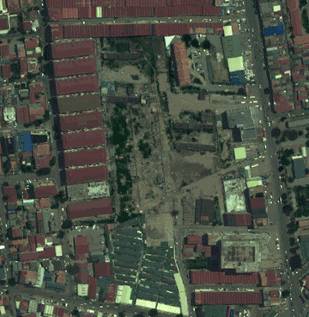 2012 Satellite image of the Borei Keila area studied by professor Bortolot