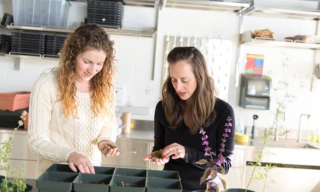 Emily Thyroff works with Professor Heather Griscom researching indigenous species of the Shenandoah Valley