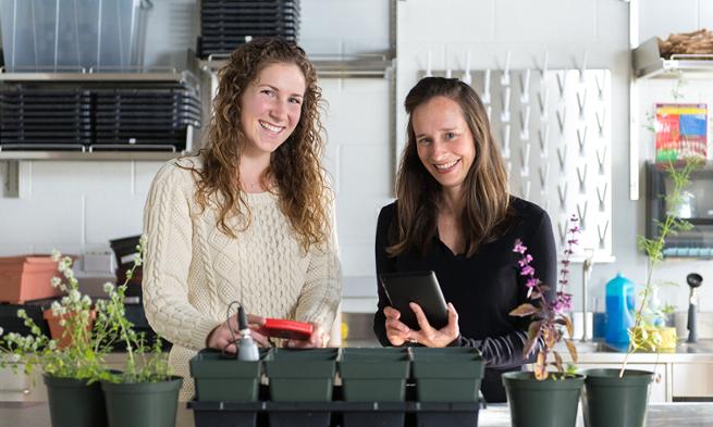 Emily Thyroff works with Professor Heather Griscom researching indigenous species of the Shenandoah Valley