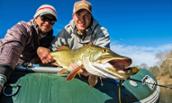 Photo of JMU alumni Brian and Colby Trow holding fish