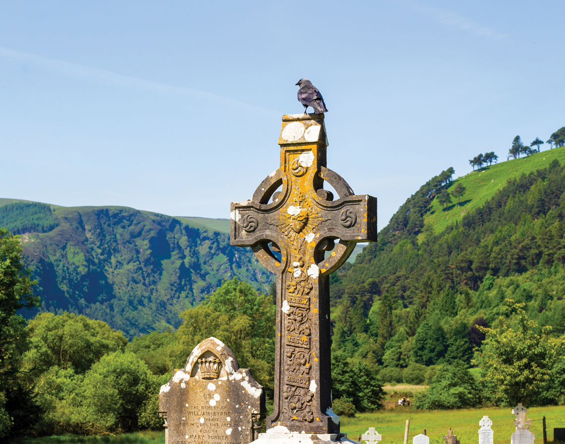 Bird perched atop a carved Celtic cross gravestone in a cemetery, with green hills and forested mountains in the background.