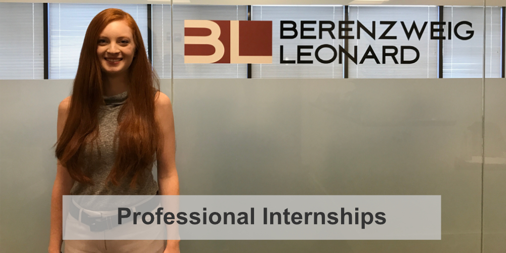 Professional Internships