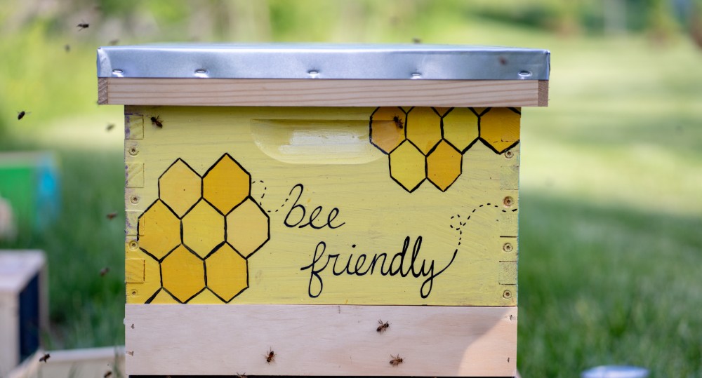 bee-friendly-1000x539