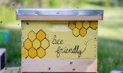 decorative image bee-friendly-thumb-173x103.jpg