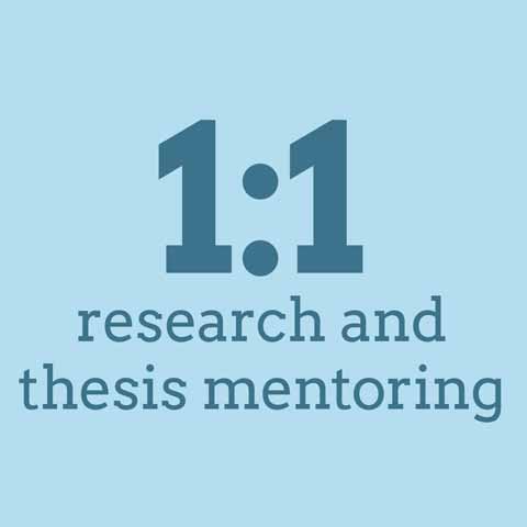 1 to 1 thesis and research mentoring
