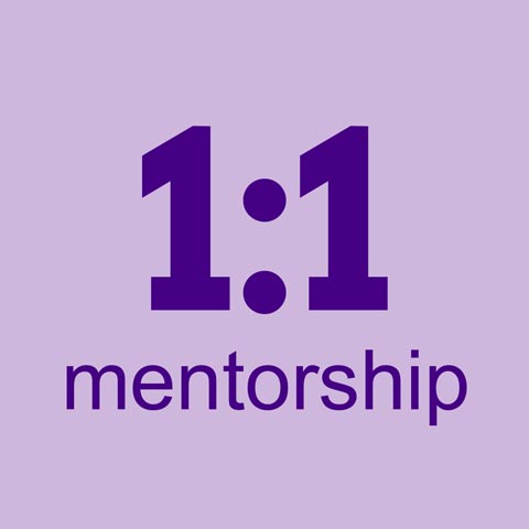 1 to 1 mentorship